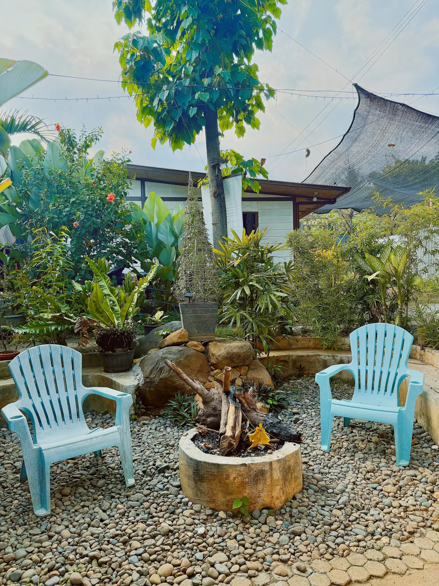 Bonfire & Grill: photo 3