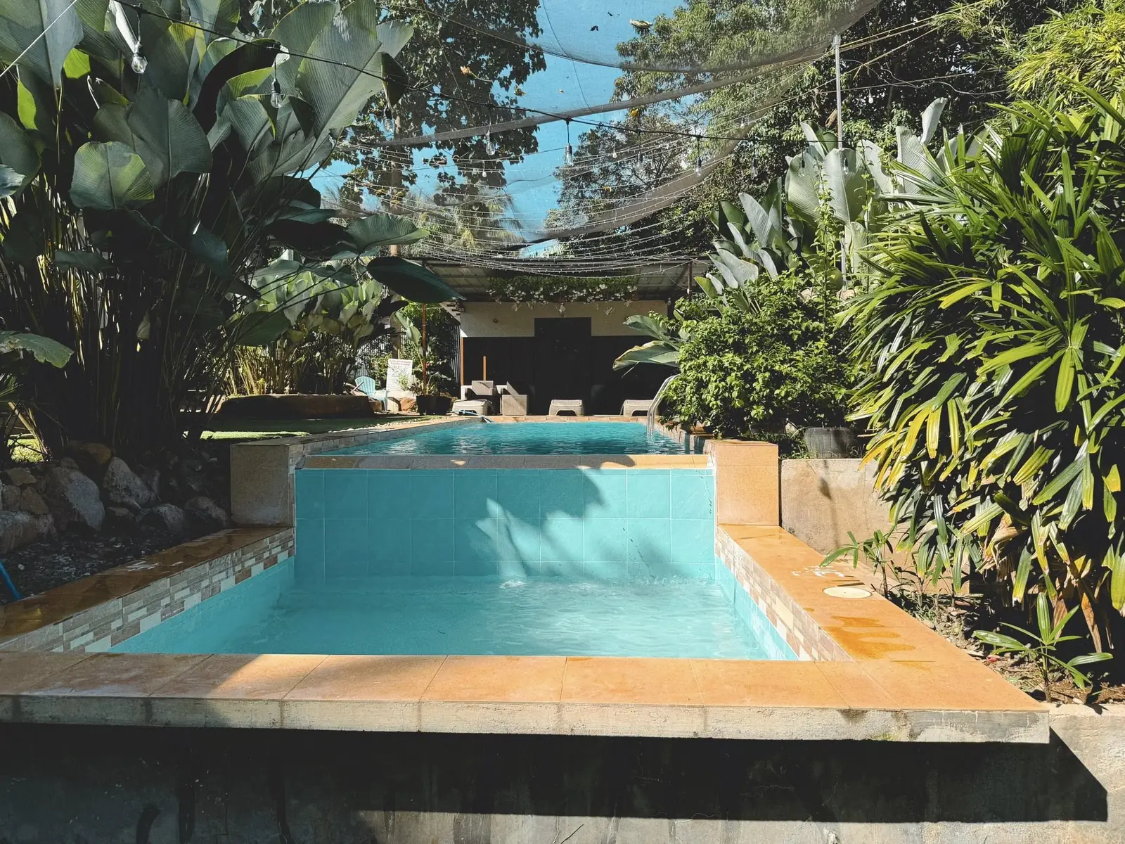 The Pool: photo 3