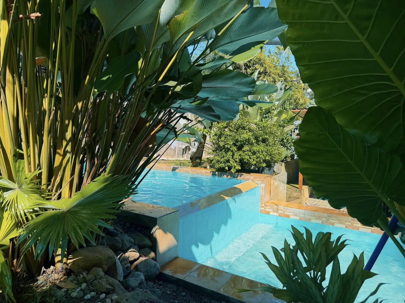 The Pool: photo 5